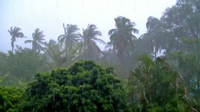 กรมอุตุ โกนเซิน