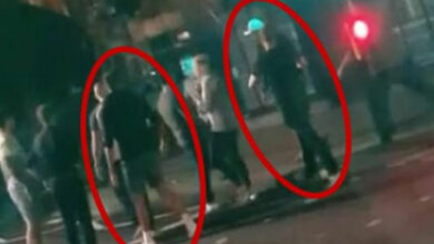 เชลวีย์มีเรื่อง