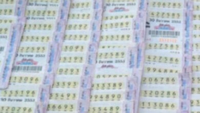 รวมเลขเด็ด 16 3 65