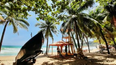 แจกเงิน 1พันบาท