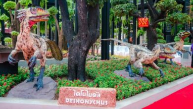 เที่ยวสวนนงนุชฟรี