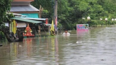 พายุคาจิกิ พายุโพดุล
