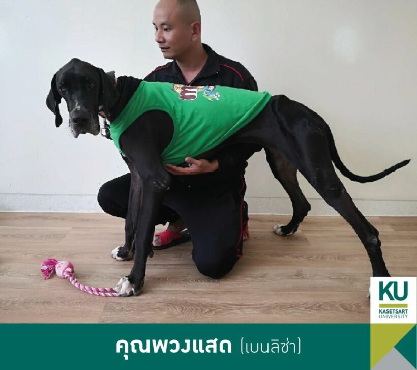 สุนัขพระราชทาน
