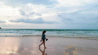 ชิทมช้อปใช้