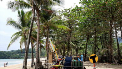 ชิมช้อปใช้