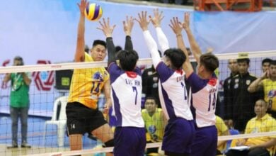 วอลเลย์บอล
