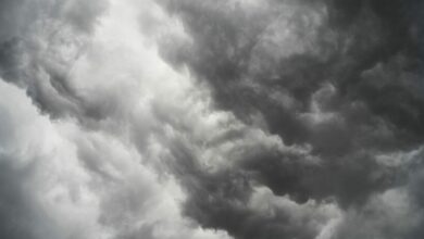 พยากรณ์อากาศ