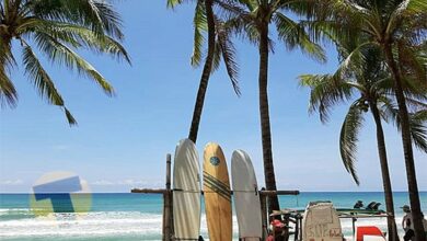 ชิมช้อปใช้