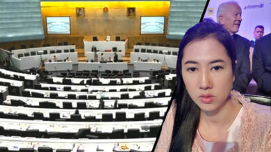 ปารีณา ไกรคุปต์