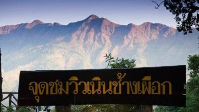 เขาช้างเผือก