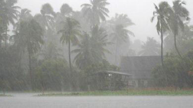 พายุโซนร้อน โกนเซิน