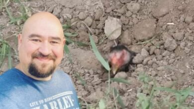 ไก่หลุม หม่อมถนัดแดก