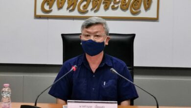 โควิด คอบร้า โกลด์