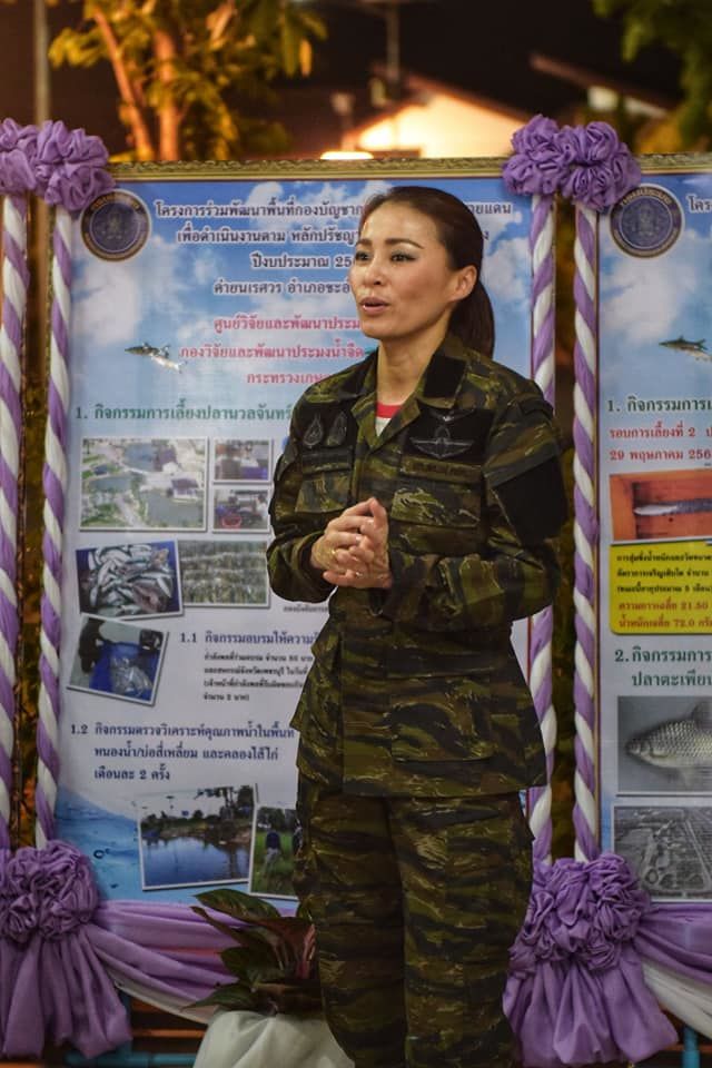 ราชินี ชลประทาน