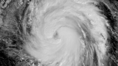 ไต้ฝุ่นวามโค