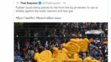 ป๋าเต็ด ชุมนุม 17 พ.ย.