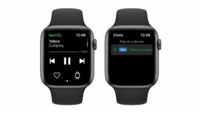 Spotify Apple Watch