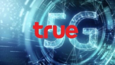 True