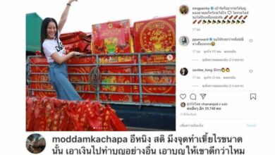 มดดำ หนิง ปณิดา