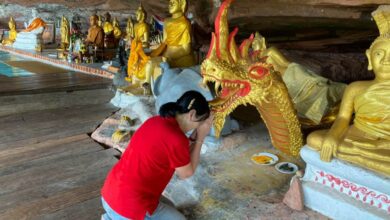 ม้า อรนภา