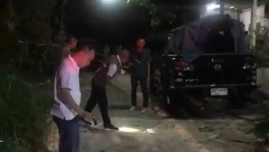 หมาเห่ายิง