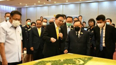 สาธารณสุข ที่ราชพัศดุ