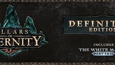 Epic แจก Pilar of Eternity