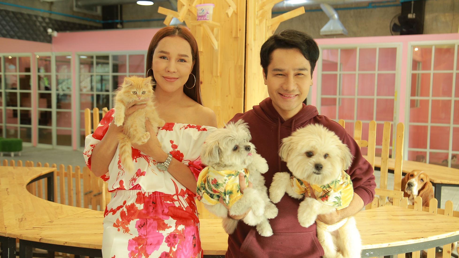 ส้มเช้ง สามช่า