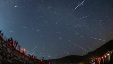 ฝนดาวตกเจมินิดส์