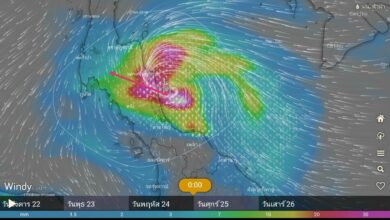 พายุโซนร้อนกรอวาญ