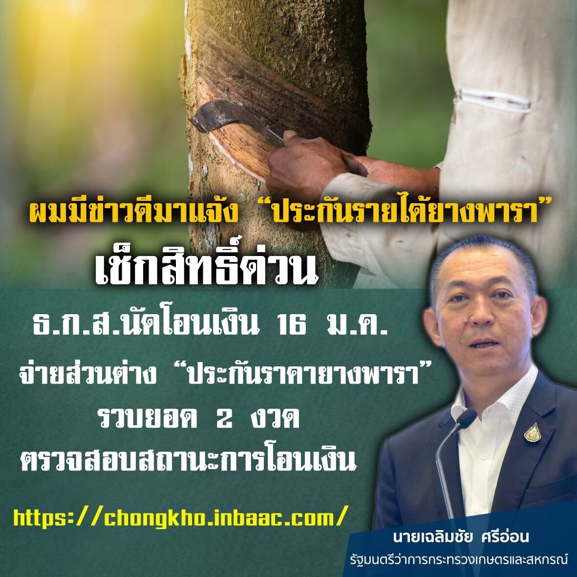 ประกันยางพารา