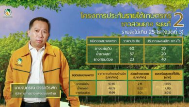 ประกันราคายาง