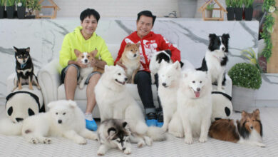 นายจ๋า ทาสมาแล้ว