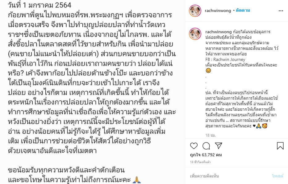 ก้อย รัชวิน