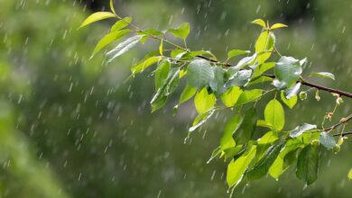 พยากรณ์อากาศวันนี้ สภาพอากาศวันนี้