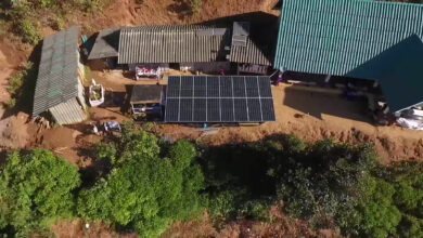 พิมรี่พาย