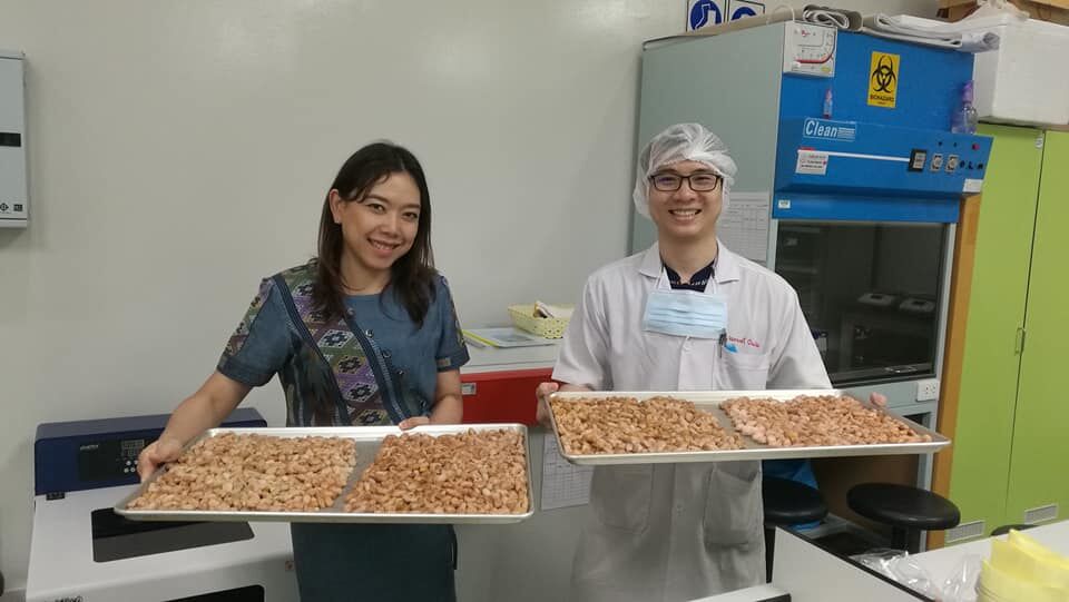 มูลนิธิดำรงชัยธรรม