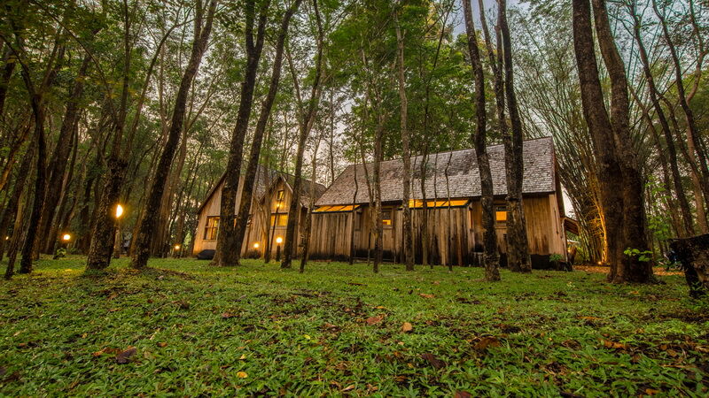 Airbnb ที่พัก กระท่อมเทพนิยายในป่าใหญ่ (กาญจนบุรี)