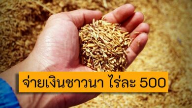 จ่ายเงินชาวนา ไร่ละ 500