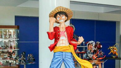 โมเดลลูฟี่