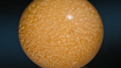 ไข่มุกเมโล