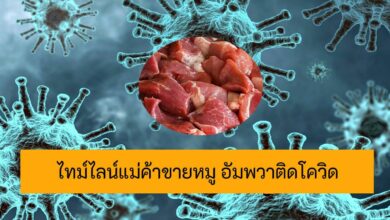 ไทม์ไลน์แม่ค้าหมู