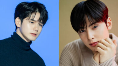 ชาอึนอู องซองอู
