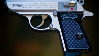 gun .380