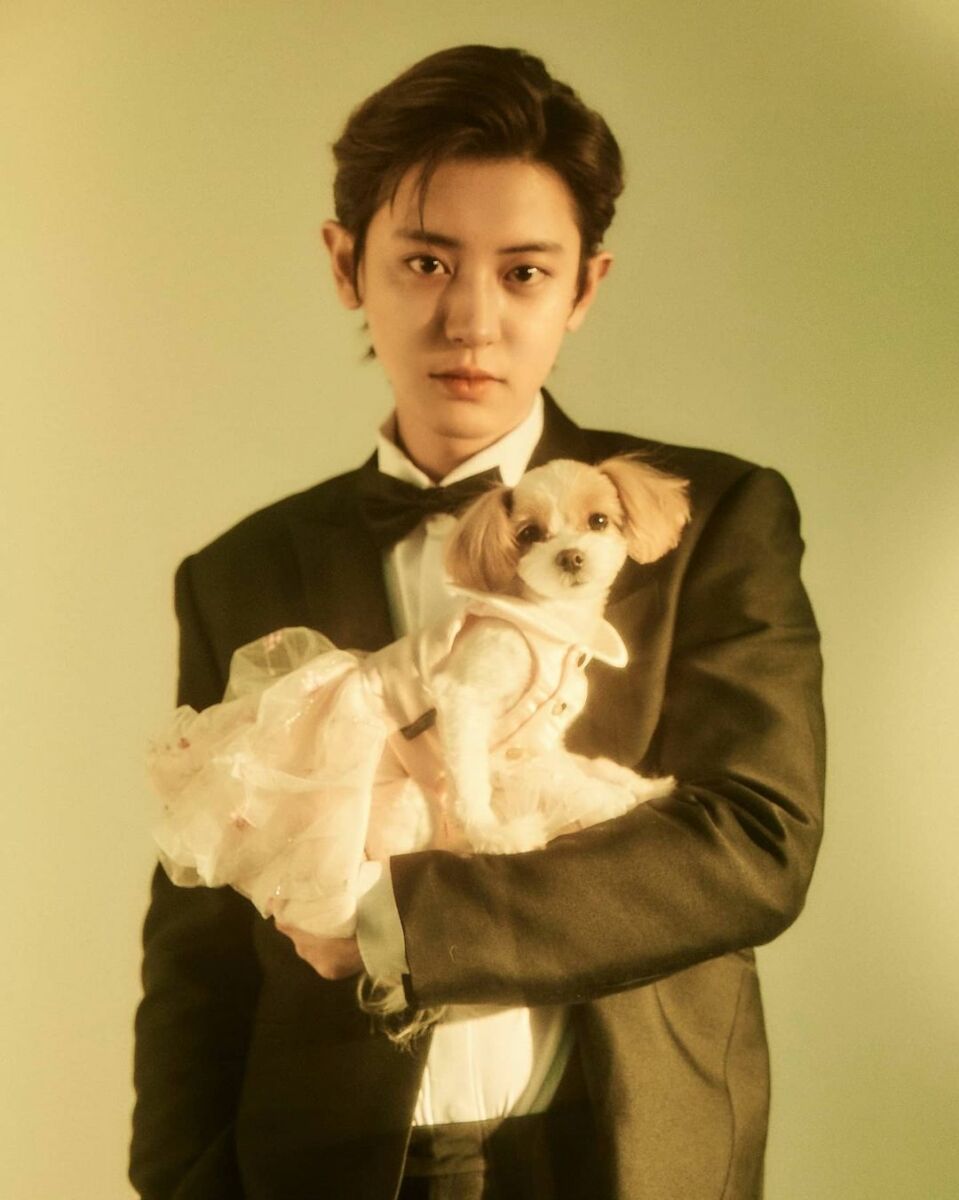 รูปชานยอล EXO
