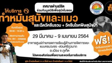 มูลนิธิเพื่อสุนัขในซอย