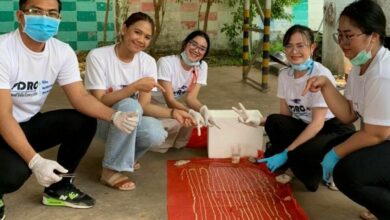 พยาธิตืดวัว