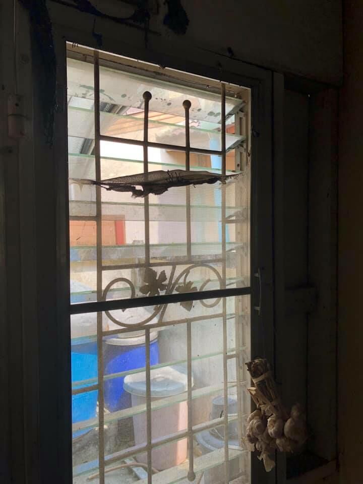 ตุ๊กตา อุบลวรรณ