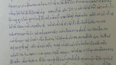 จดหมายแม่เพนกวิน