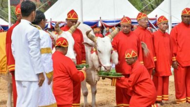 พระราชพิธีพืชมงคล